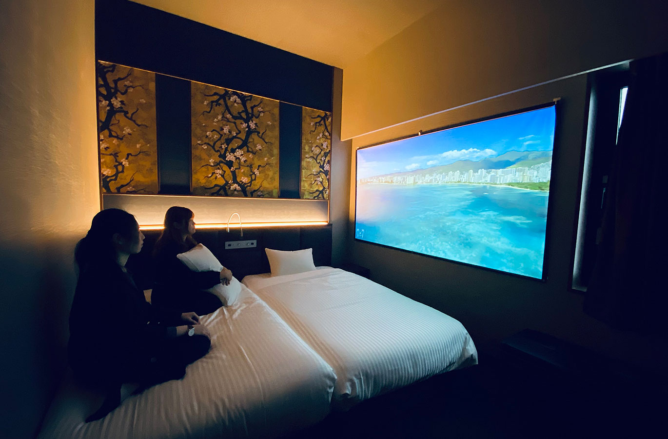 DELUXE TWIN THEATRE ROOM イメージ