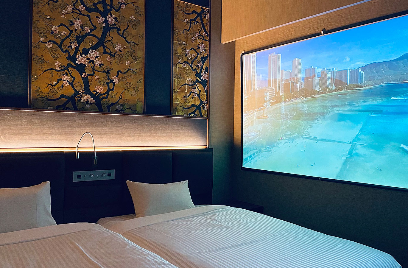 TWIN THEATRE ROOM イメージ